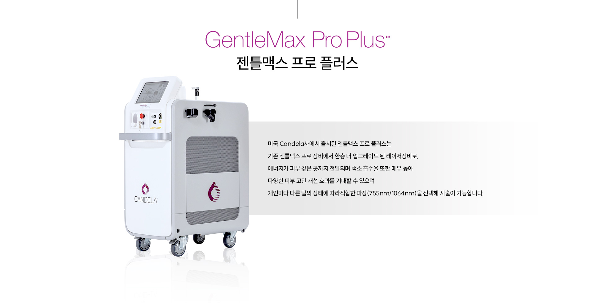 젠틀맥스프로플러스 정의