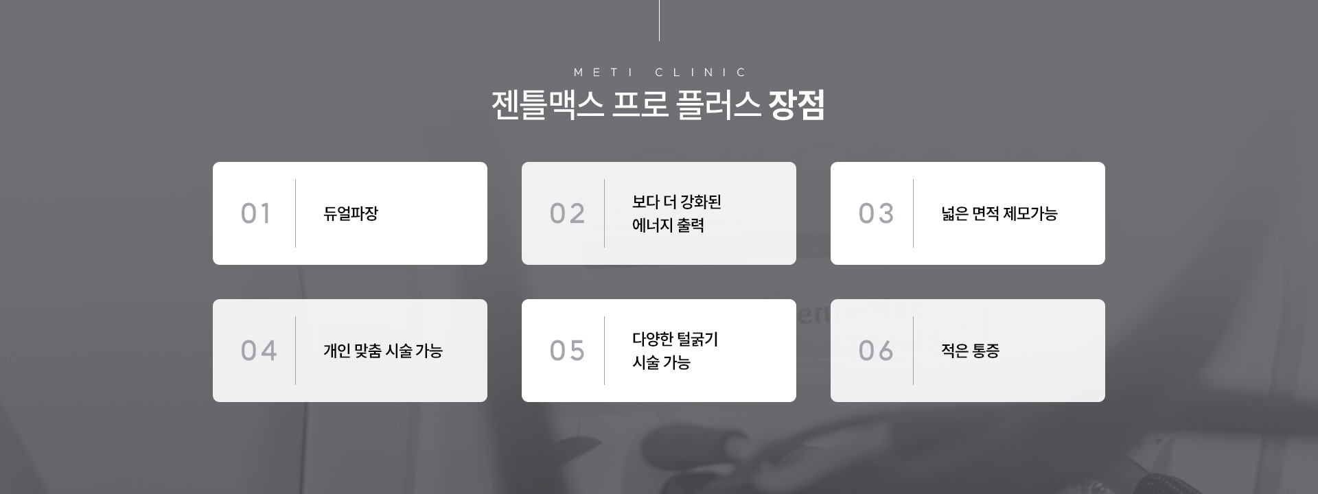 젠틀맥스프로플러스 장점